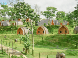 5 Rekomendasi Hotel Bernuansa Alam di Malang